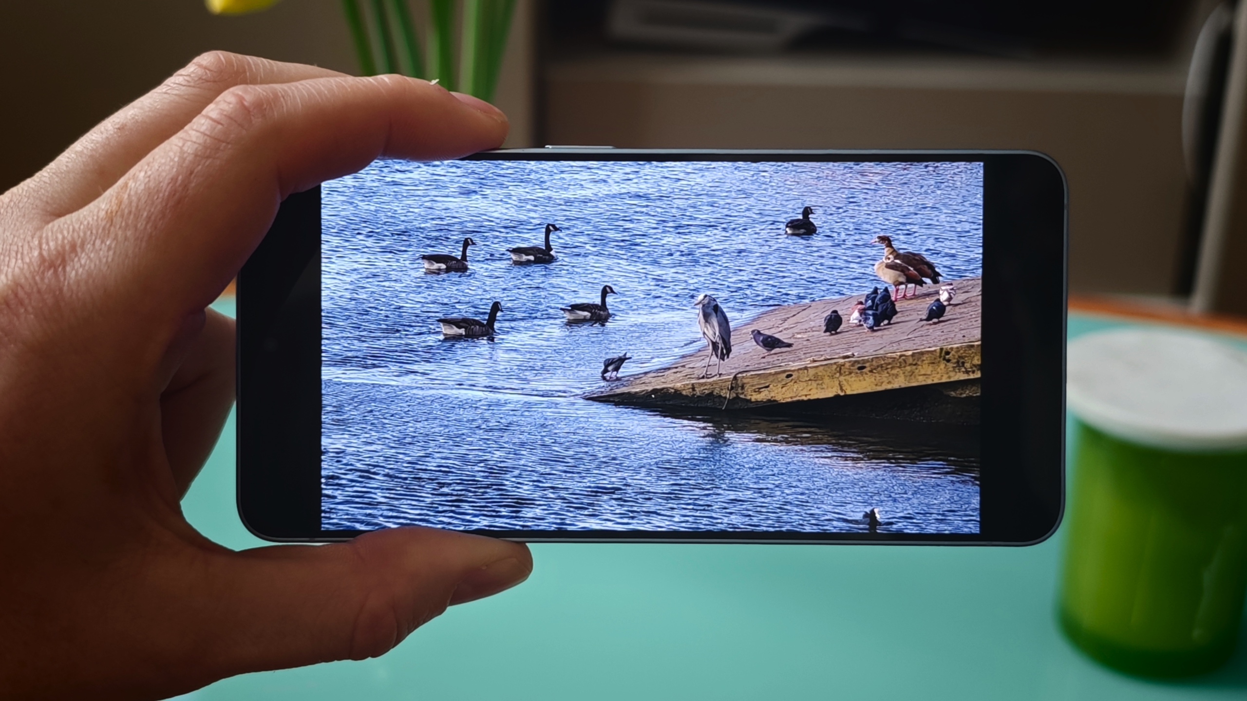 Samsung Galaxy S26 review