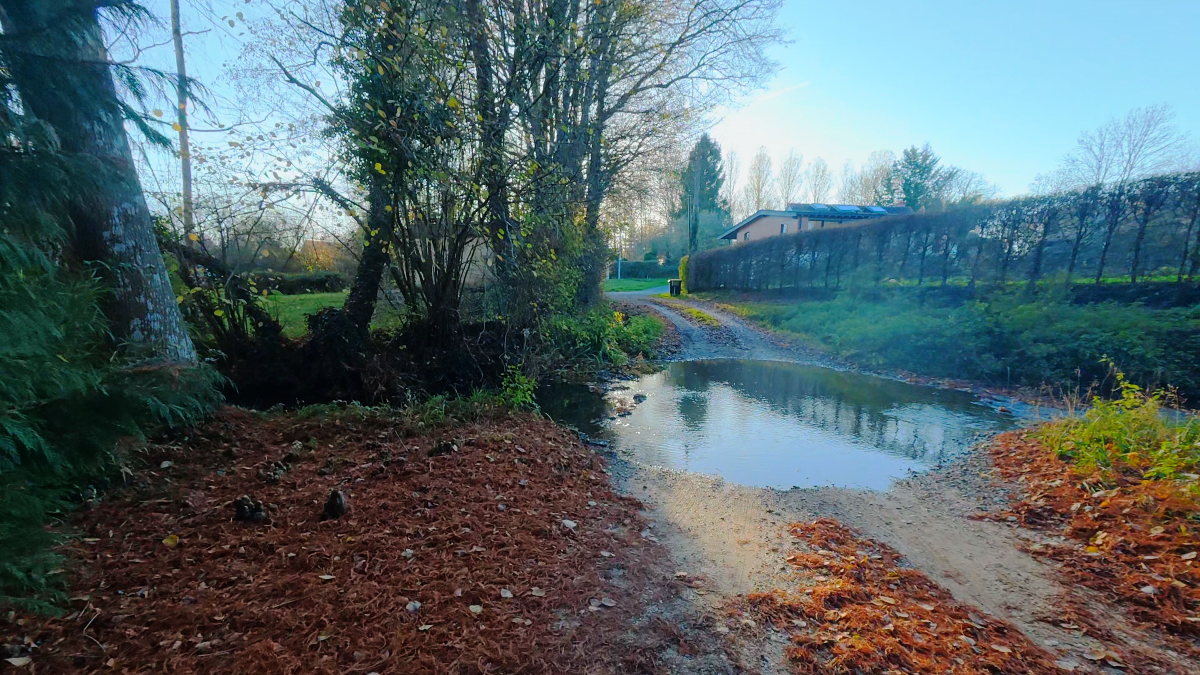 Sample image from the DJI Osmo Action 6 in 