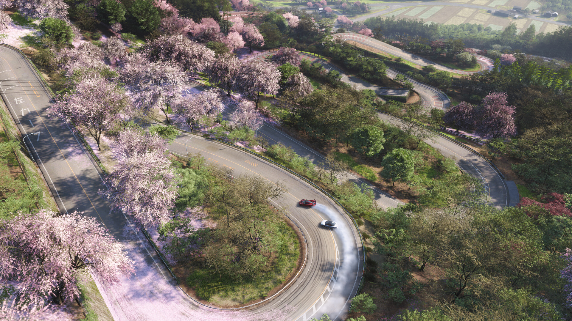 forza_lede_3808.jpg