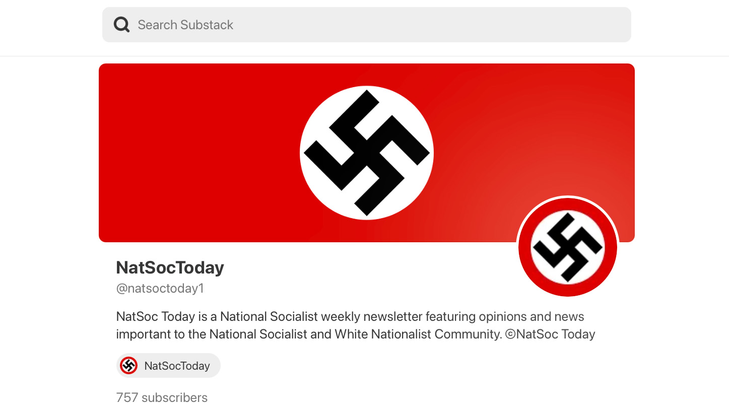 Screenshot of a Substack Nazi newsletter.