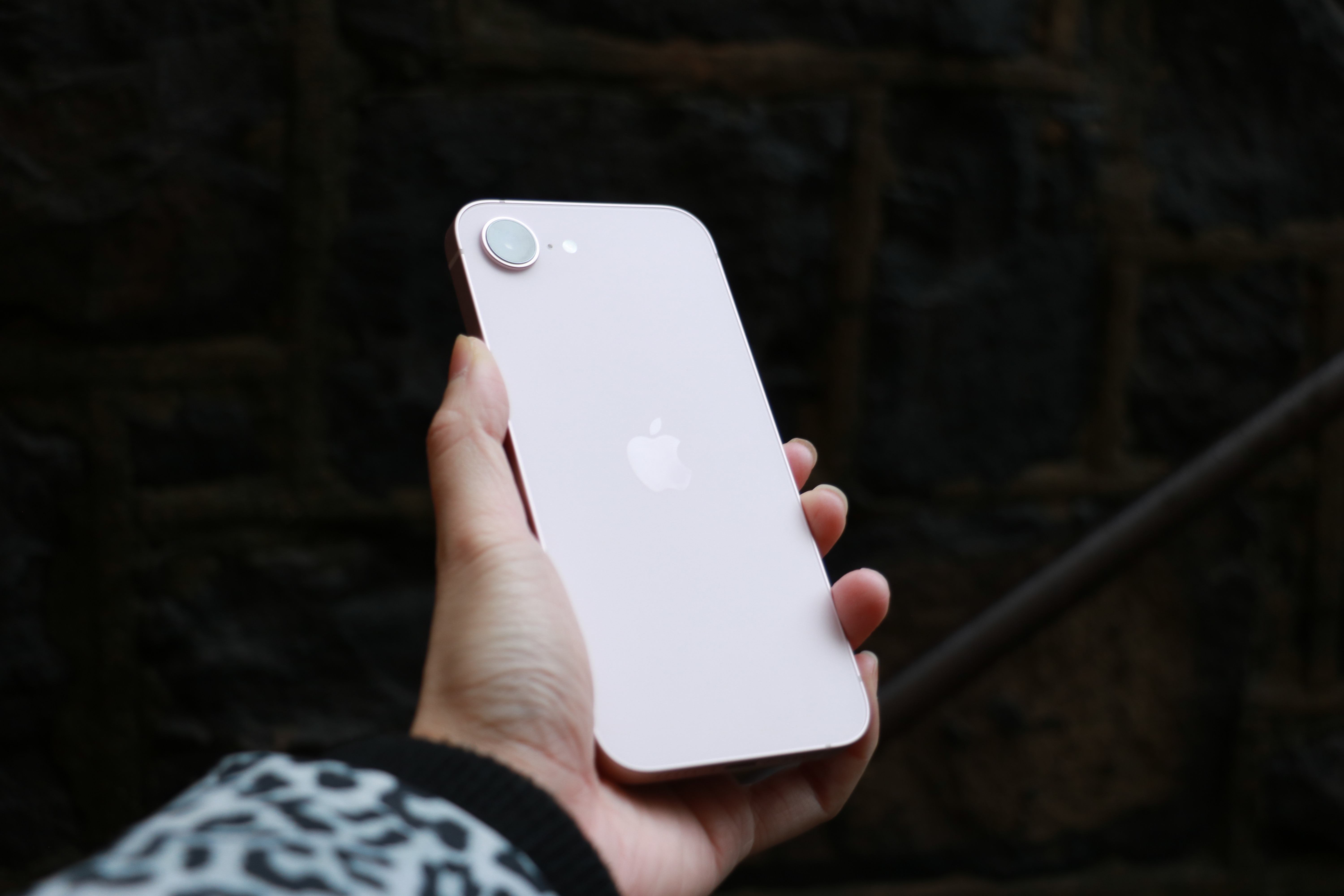 The rear of the iPhone 17e catches the light in front of a stone wall.