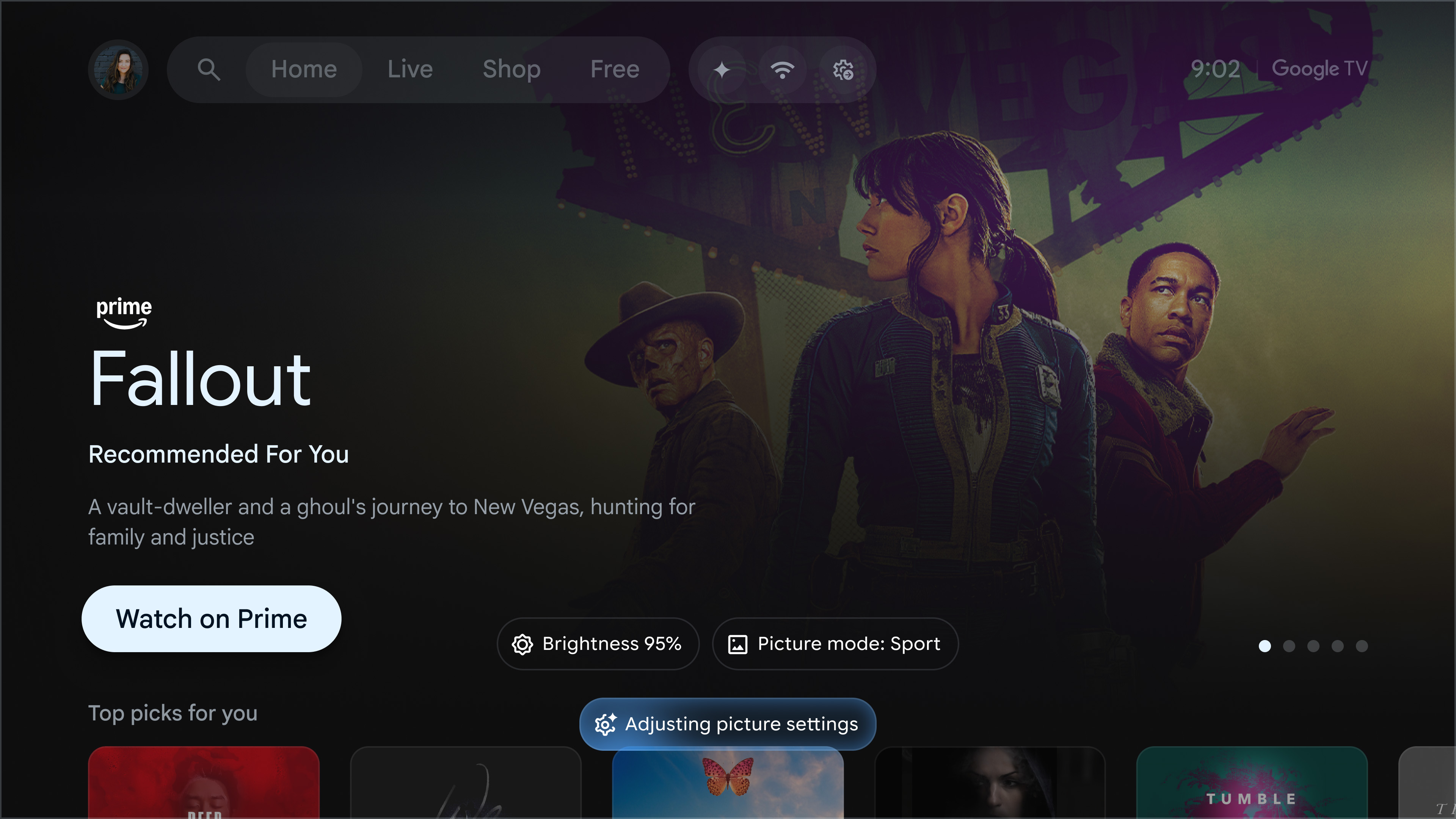 Gemini adjust picture settings through Google TV.