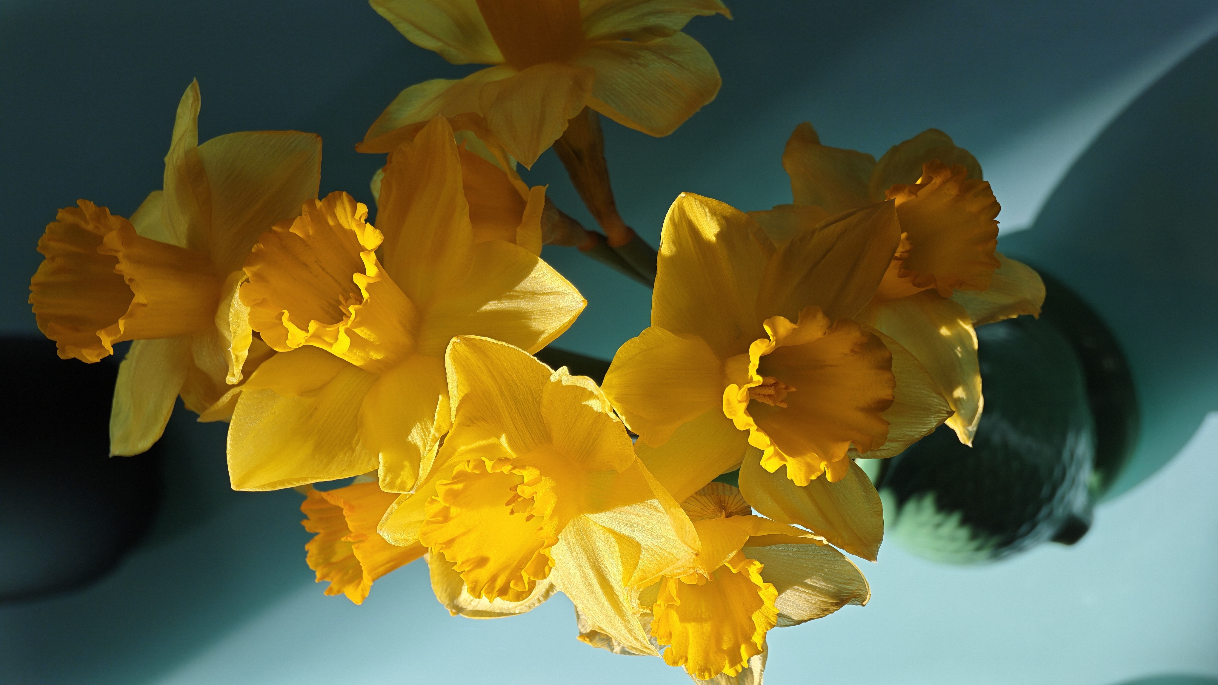 Xiaomi 17 Ultra hands-on photo samples