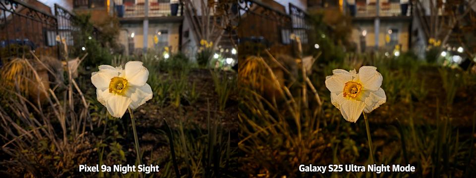 Side-by-side view of a nighttime photo of a flower, taken with the two phones.