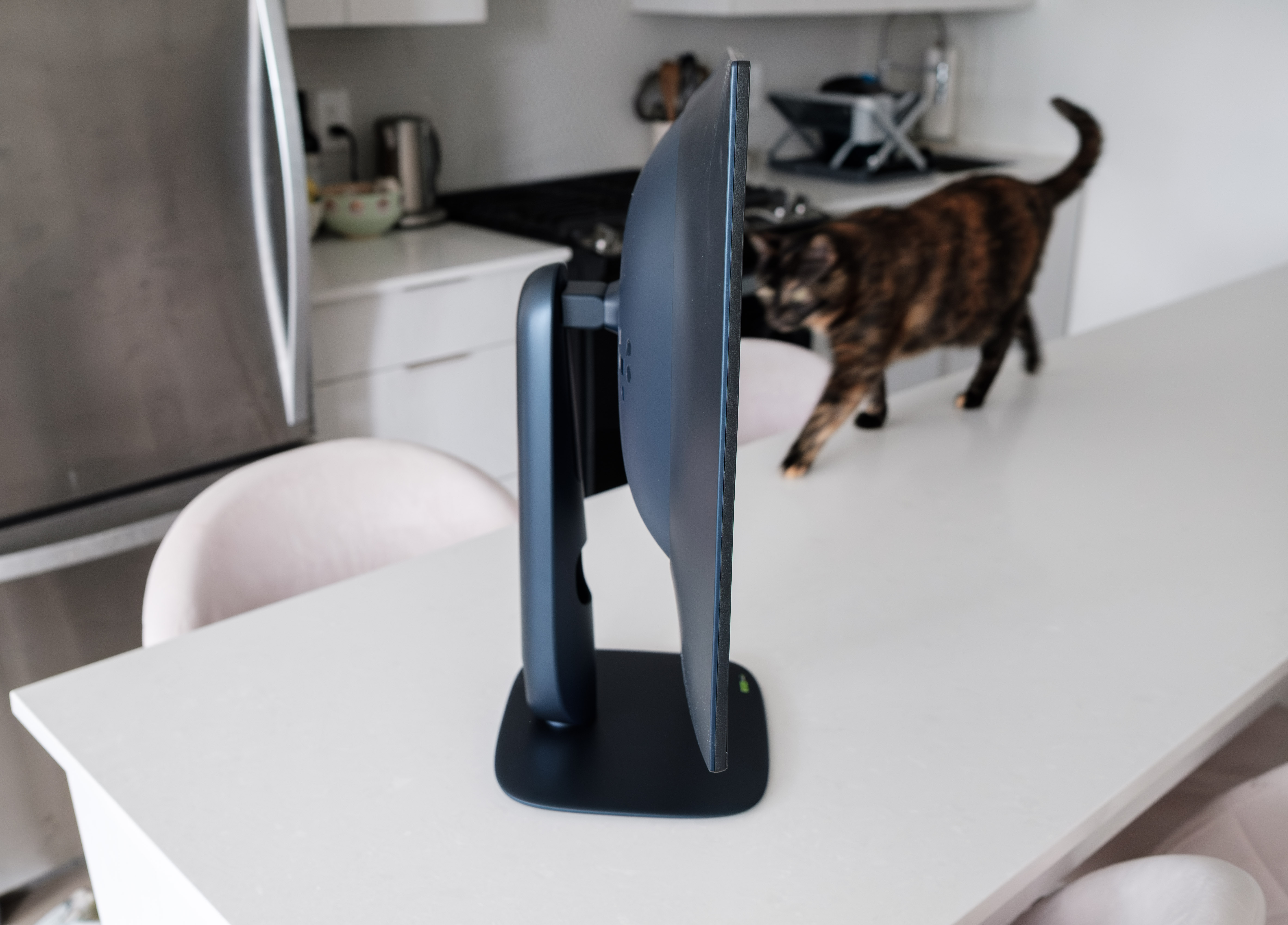 A tortoiseshell cat walks toward the Alienware AW2725Q.  