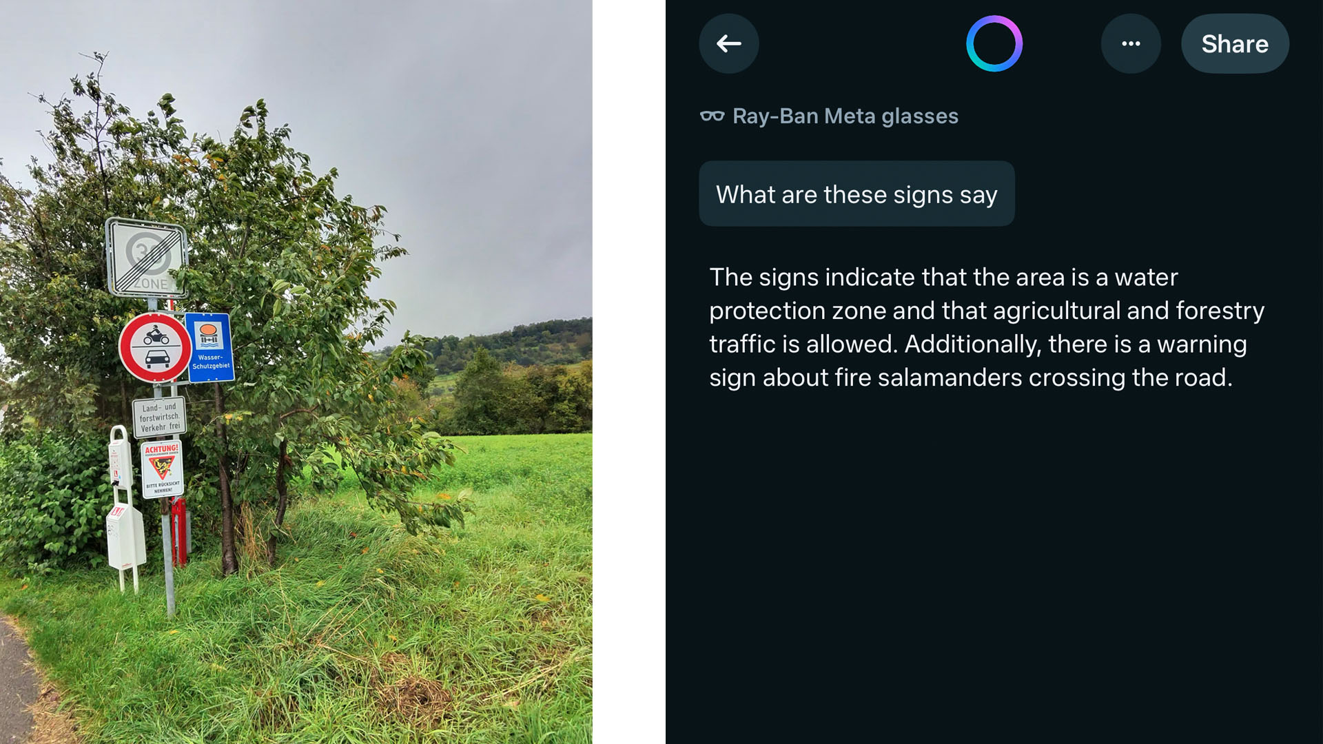 Meta AI was able to translate these signs (left) when I asked it what do these signs say? 