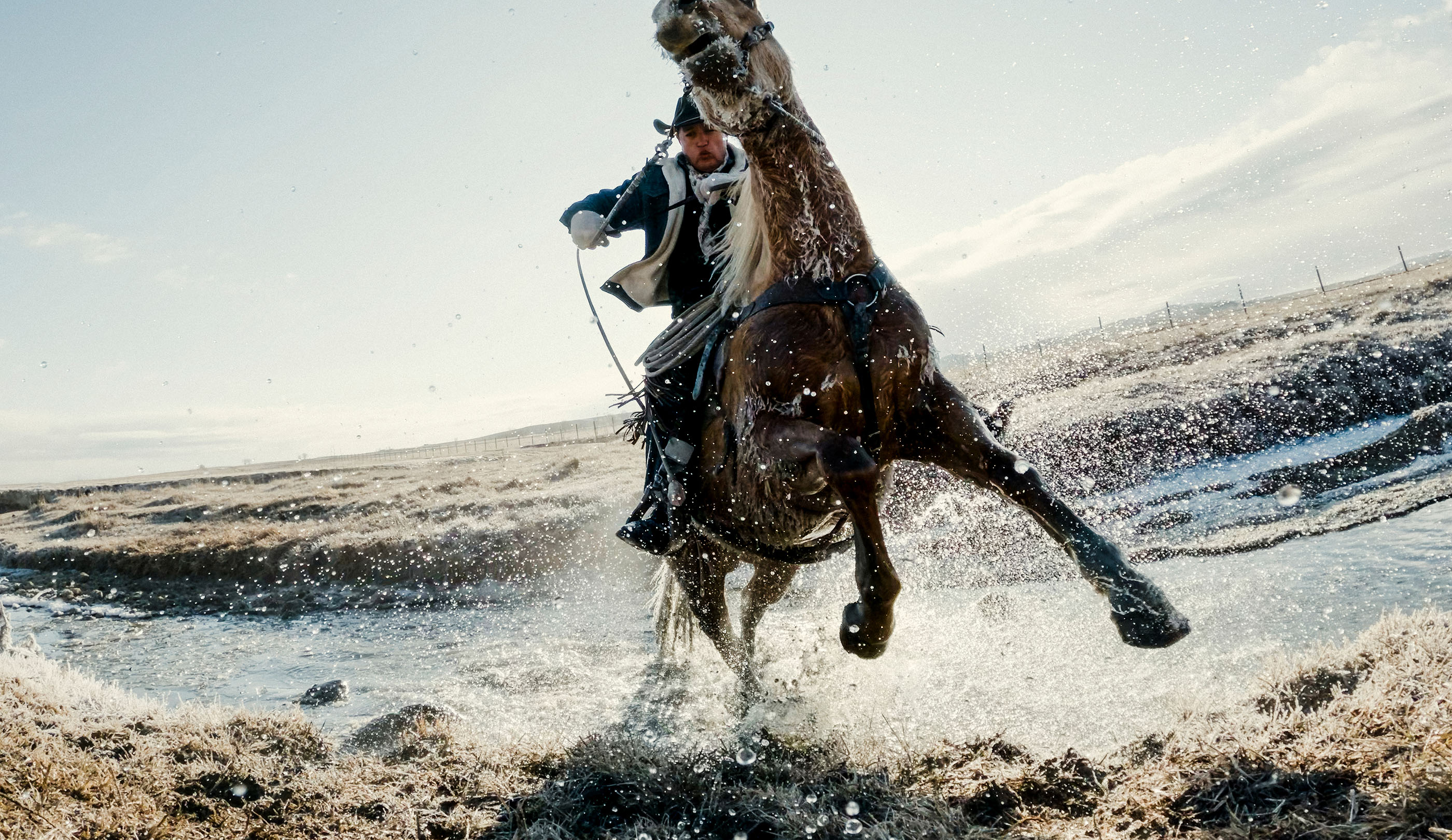 Sample Photo with horse running through stream in arid environment from GoPro Mission 1 Pro action camera