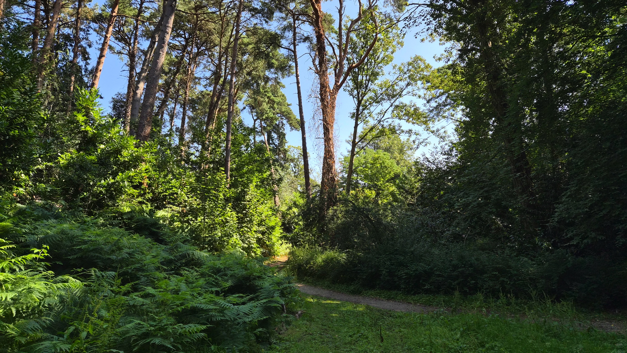 Galaxy Z Flip 7 review